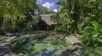 BEACHFRONT ECO LODGE RETREAT IN OSA PENINSULA