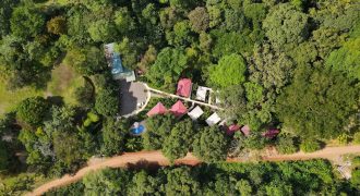 OWNER HOME AND TREE HOUSE VILLAS – 1.35 ACRES