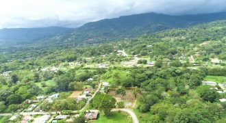 LOCATION, LOCATION! WALKING DISTANCE TO THE BEACH, COMMERCIAL AND RESIDENCIAL LOT FOR SALE